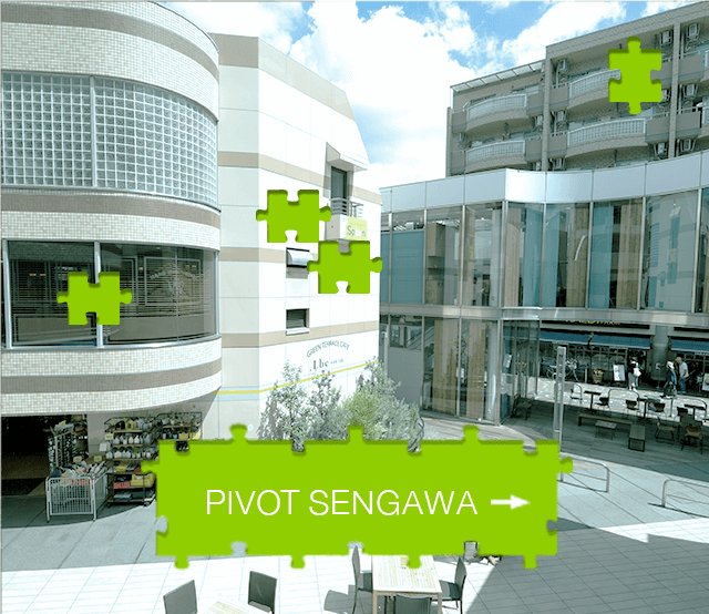 PIVOT SENGAWA