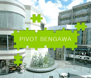 PIVOT SENGAWA